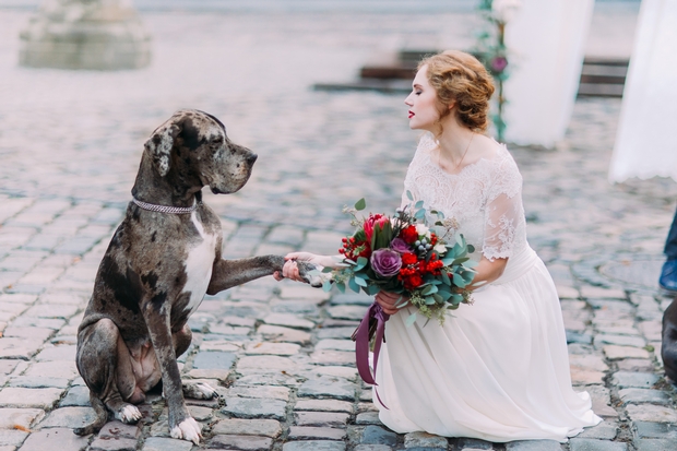 Wedding walkies for Bristol and Somerset couples: Image 1