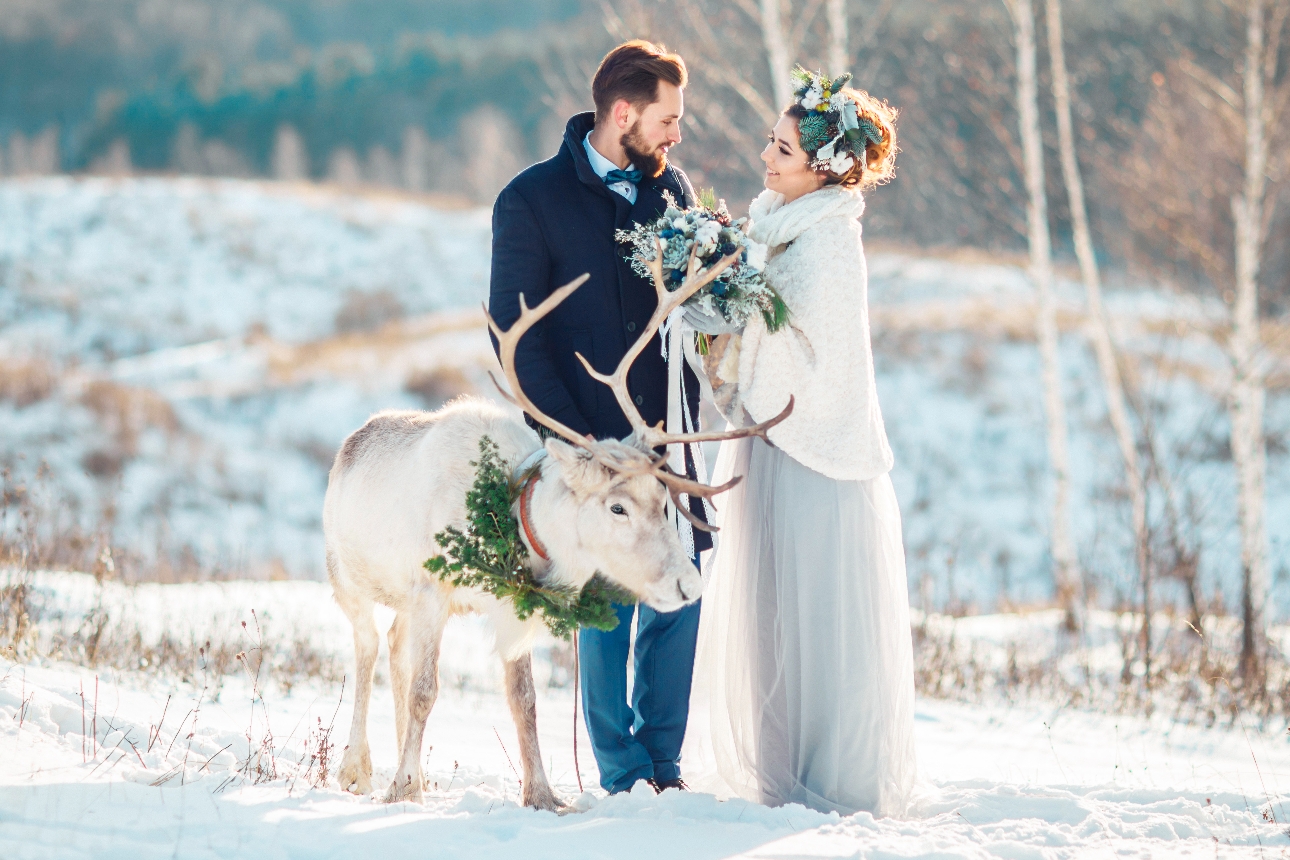 bride and groom in winter wedding outfit in the snow with a reindeer