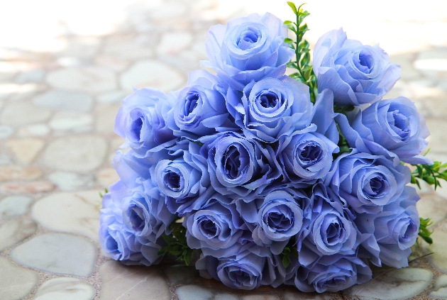 blue roses bouquet 