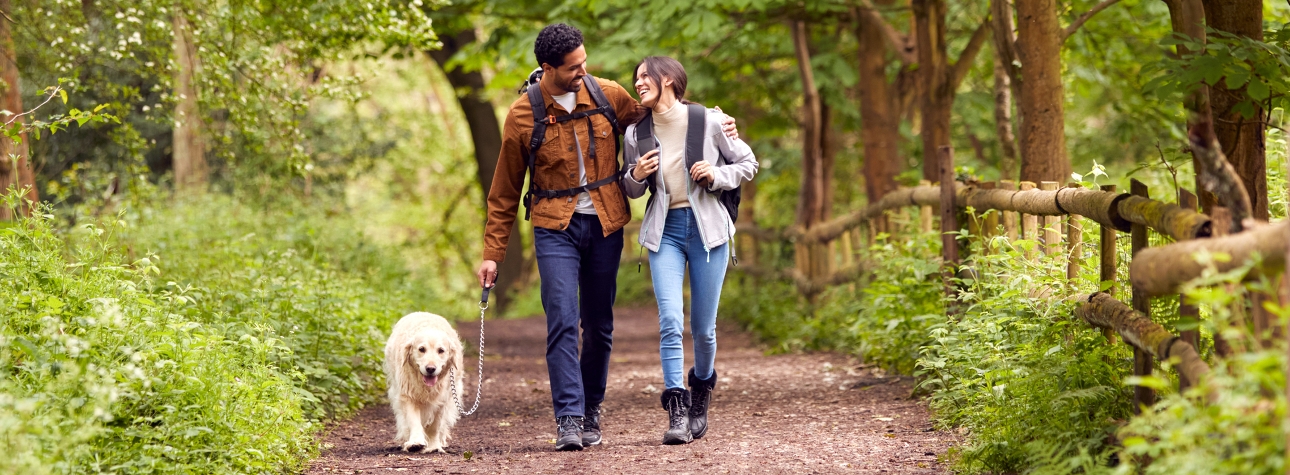 couple walking trough the woods with a dog