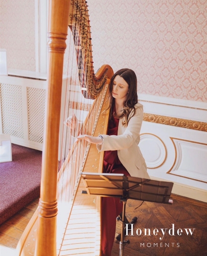 Image 2 from Hannah Williams Harpist