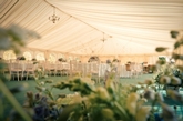 Thumbnail image 6 from Barny Lee Marquees
