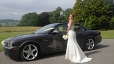 Thumbnail image 2 from Purrfect Wedding Car